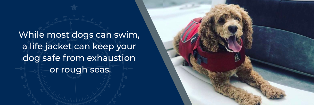 While most dogs can swim, a life jacket can keep your dog safe from exhaustion or rough seas - dog wearing a life jacket on the seat of a boat