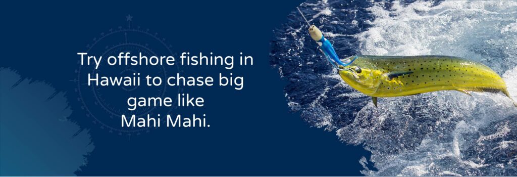 Try offshore fishing in Hawaii to chase big game like Mahi Mahi - Image of a Mahi Mahi fish on a hook