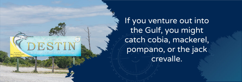 If you venture out into the Gulf, you might catch cobia, mackerel, pompano, or the jack crevalle - Road sign for Destin FL